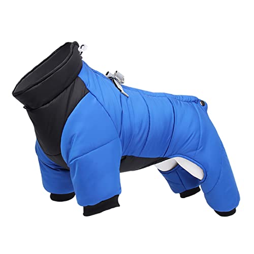 Warme Winter-Hundekleidung, Wasserdichter Und Winddichter Hundemantel, Chihuahua, Französische Bulldogge, Mops, Onesies, Kleine Und Mittelgroße Hundemantel-Kleidung,Blau,M Warme Winter-Hundekleidung, Wasserdichter Und Winddichter Hundemantel, Chihuahua, Französische Bulldogge, Mops, Onesies, Kleine Und Mittelgroße Hundemantel-Kleidung,Blau,M von DTREEL