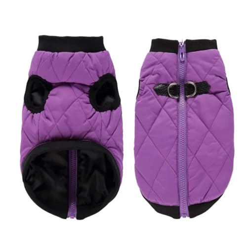 Warme Winterjacke Für Haustiere, Kleidung Für Katze Und Hund, Einfarbig, Warme Jacke, Oberbekleidung Mit Reißverschluss, Katzen- Und Hundekleidung, Haustier-Freizeitkleidung, Chihuahua- Warme Winterjacke Für Haustiere, Kleidung Für Katze Und Hund, Einfarbig, Warme Jacke, Oberbekleidung Mit Reißverschluss, Katzen- Und Hundekleidung, Haustier-Freizeitkleidung, Chihuahua- von DTREEL