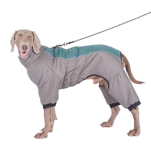 Warmer Wintermantel Für Große Hunde, Weich Und Bequem, Mittelgroße Und Große Hundejacke, Winddichter Und Wasserdichter Outdoor-Haustiermantel, Labrador, Golden Retriever, Französische Bulldo Warmer Wintermantel Für Große Hunde, Weich Und Bequem, Mittelgroße Und Große Hundejacke, Winddichter Und Wasserdichter Outdoor-Haustiermantel, Labrador, Golden Retriever, Französische Bulldo von DTREEL