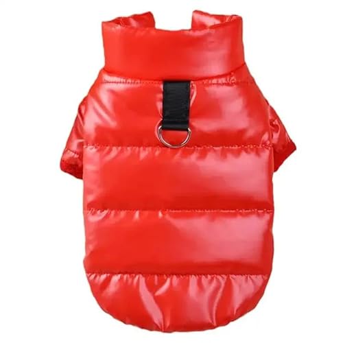 Weiche Und Bequeme Haustierjacke, Herbst Und Winter, Warme Jacke Für Kleine Hunde, Verdickte Warme Baumwoll-Hundejacke, Wind- Und wasserdichte Outdoor-Haustierjacke, Chihuahua-Mops-Shih-Tzu- Weiche Und Bequeme Haustierjacke, Herbst Und Winter, Warme Jacke Für Kleine Hunde, Verdickte Warme Baumwoll-Hundejacke, Wind- Und wasserdichte Outdoor-Haustierjacke, Chihuahua-Mops-Shih-Tzu- von DTREEL