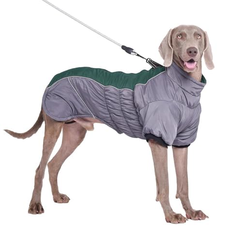 Winter Verdickte Warme Hundejacke, Kleidung, Mantel, Warme Baumwolle, Hundejacke, Weste, Outdoor, Reflektierend, Wasserdicht, Winddicht, Haustierjacke, Mops, Bulldogge, Labrador, Deutsc Winter Verdickte Warme Hundejacke, Kleidung, Mantel, Warme Baumwolle, Hundejacke, Weste, Outdoor, Reflektierend, Wasserdicht, Winddicht, Haustierjacke, Mops, Bulldogge, Labrador, Deutsc von DTREEL