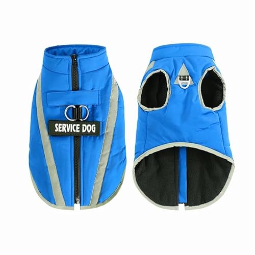Winter Warm Fleece Haustier Personalisierte Jacke Kleidung Outdoor Winddicht Wasserdicht Katze Und Hund Jacke Kleidung Französische Bulldogge Chihuahua Mops Labrador Jacke,Blau,2XL von DTREEL