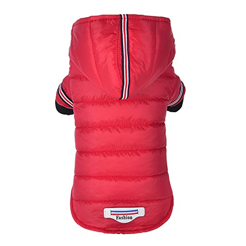 Winter Warme Hundekleidung Gemütliche Warme Haustierjacke Mantel Chihuahua Mops Kleidung Kapuzenpullover Wasserdichter Winddichter Hundemantel Kleidungsmantel,Rot,M Winter Warme Hundekleidung Gemütliche Warme Haustierjacke Mantel Chihuahua Mops Kleidung Kapuzenpullover Wasserdichter Winddichter Hundemantel Kleidungsmantel,Rot,M von DTREEL