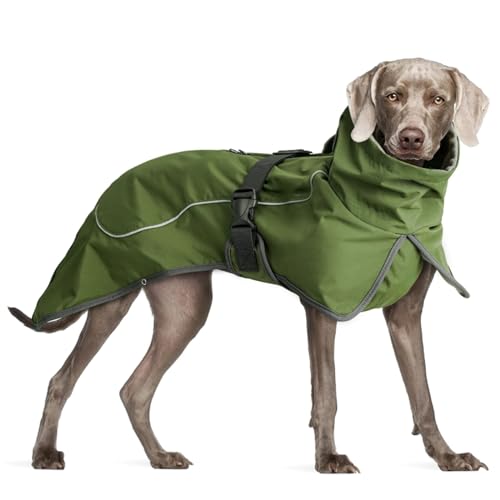 Winter Warmer Hundemantel Im Freien, Wasserdicht, Winddicht, Hundejacke, Mantel, Reflektierend, Haustiermantel, Labrador-Schäferhund-Mantel, Jacke,Grün,XL Winter Warmer Hundemantel Im Freien, Wasserdicht, Winddicht, Hundejacke, Mantel, Reflektierend, Haustiermantel, Labrador-Schäferhund-Mantel, Jacke,Grün,XL von DTREEL