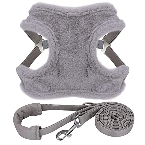 Winterwarmes, Gepolstertes Hundegeschirr Und Leine-Set, Verstellbare Haustiergeschirrweste, Weiches Und Bequemes Hundetrainingsgeschirr Und Leine-Set Für Chihuahua, Mops,Grau,S Winterwarmes, Gepolstertes Hundegeschirr Und Leine-Set, Verstellbare Haustiergeschirrweste, Weiches Und Bequemes Hundetrainingsgeschirr Und Leine-Set Für Chihuahua, Mops,Grau,S von DTREEL
