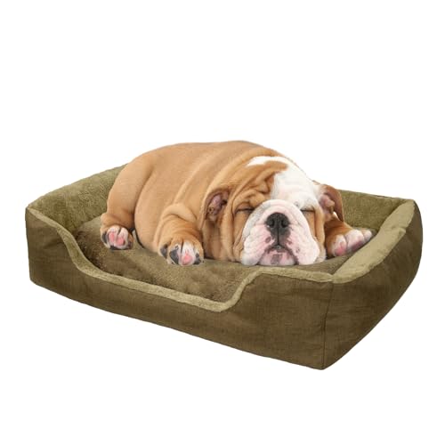 DTXDTech Hundebetten für mittelgroße Hunde, 80 x 60 cm, stützendes Haustierbett mit abnehmbarem, waschbarem Bezug, wasserdichte Schicht, rechteckiges Hundesofa mit rutschfester Unterseite, weiche, von DTXDTech