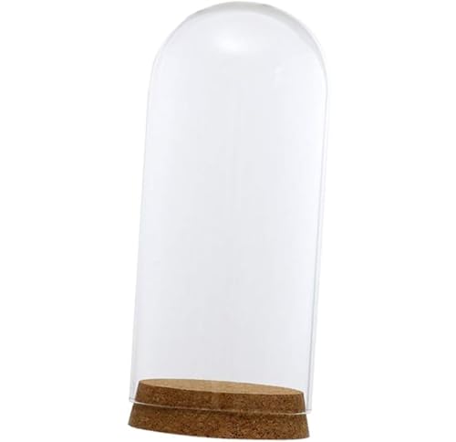 Transparente Glaskuppelabdeckung, Glockenglas, Sukkulenten-Terrarien mit Holzkork für Zuhause, Büro, Tischdekoration (8 x 18 cm) von DUANxiaoyanK