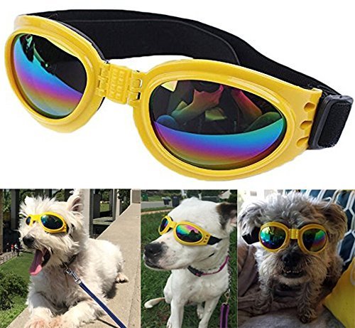 DUBENS Hundebrille Sonnenbrille Wasserdichten Schutz Sun-Brille, UV-Schutz Fashion Eyewear Goggles Schutzbrille Hundebrillen Sonnenschutz Brillen Für Haustier Hunde Dog (Gelb) von DUBENS