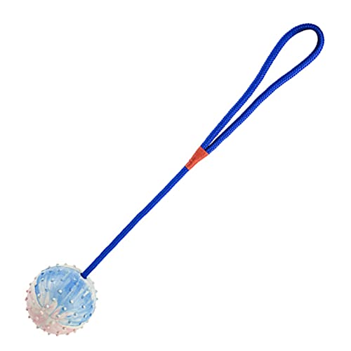DUBENS Kauball am Seil, Gummiseilball für Hundetraining, Kauen und interaktiv, Schleppballspielzeug für mittleren und kleinen Hund, Tough Rope Spielzeug (Blau) von DUBENS