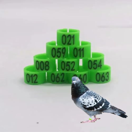 DUBTEDHOU Vogelbeine mit Ringen, 100/200er-Packung Clip-On-Vogelbeinringe aus Kunststoff mit Nummer 01-100/200, 8 mm oder 10 mm, 9 Farben(Green,10毫米100pc) von DUBTEDHOU