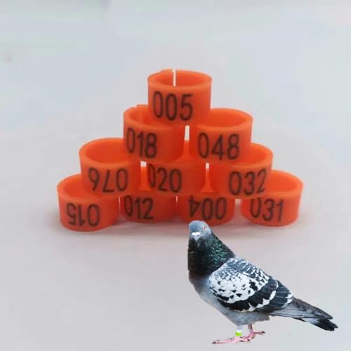 DUBTEDHOU Vogelbeine mit Ringen, 100/200er-Packung Clip-On-Vogelbeinringe aus Kunststoff mit Nummer 01-100/200, 8 mm oder 10 mm, 9 Farben(Orange Color,10毫米100pc) von DUBTEDHOU