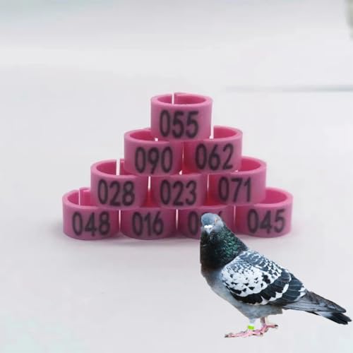 DUBTEDHOU Vogelbeine mit Ringen, 100/200er-Packung Clip-On-Vogelbeinringe aus Kunststoff mit Nummer 01-100/200, 8 mm oder 10 mm, 9 Farben(Pink,10毫米100pc) von DUBTEDHOU