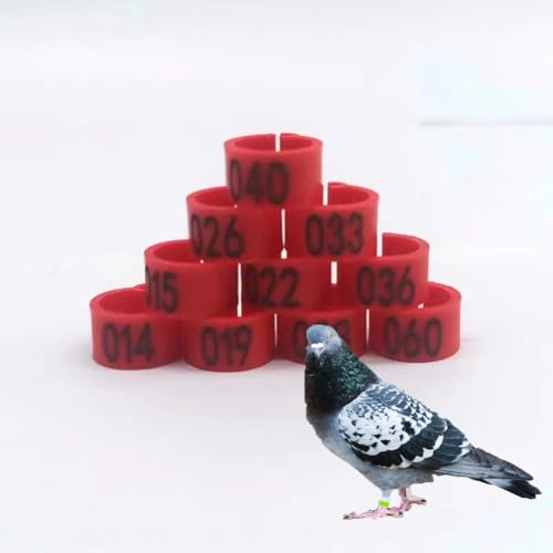 DUBTEDHOU Vogelbeine mit Ringen, 100/200er-Packung Clip-On-Vogelbeinringe aus Kunststoff mit Nummer 01-100/200, 8 mm oder 10 mm, 9 Farben(Red,10毫米100pc) von DUBTEDHOU