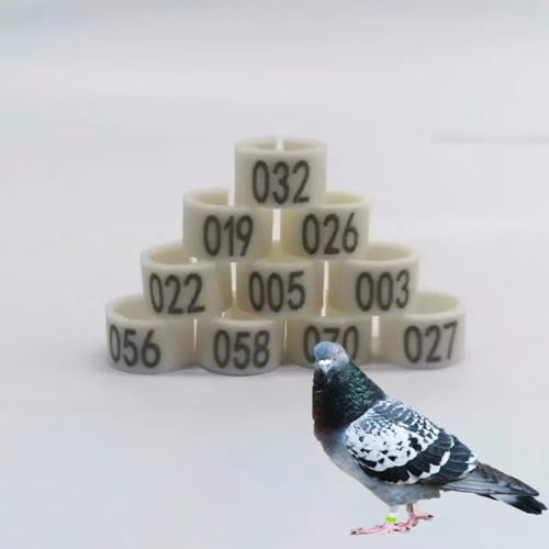 DUBTEDHOU Vogelbeine mit Ringen, 100/200er-Packung Clip-On-Vogelbeinringe aus Kunststoff mit Nummer 01-100/200, 8 mm oder 10 mm, 9 Farben(White,10毫米200pc) von DUBTEDHOU
