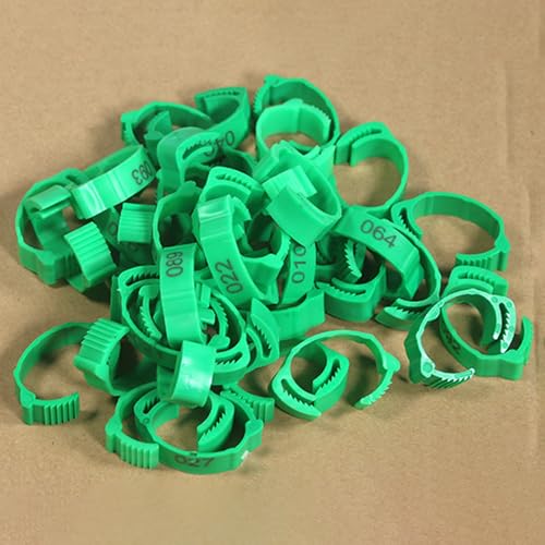 DUBTEDHOU Vogelbeine mit Ringen, Geflügel-ID-Beinbänder, Mehrfarbig, mehrere Größen(Green,100 Pieces) von DUBTEDHOU