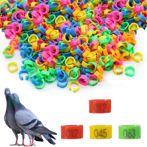 DUBTEDHOU Vogelbeine mit Ringen, Mehrfarbige Hähnchenschenkelringe mit Zahlen und Clip 8/10/12 mm Packung mit 100–200 Stück(12mm150pc) von DUBTEDHOU