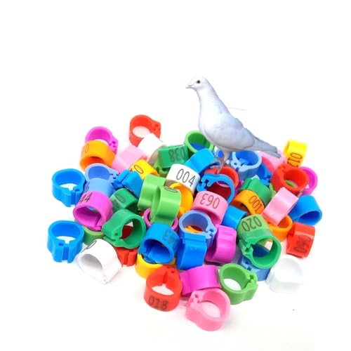 DUBTEDHOU Vogelbeine mit Ringen, Nummerierte Clip-Vogelbeinbänder, Mehrfarbig, mehrere Größen, 100 Stück(Mixed Color 601-700,8mm(0.315in)) von DUBTEDHOU