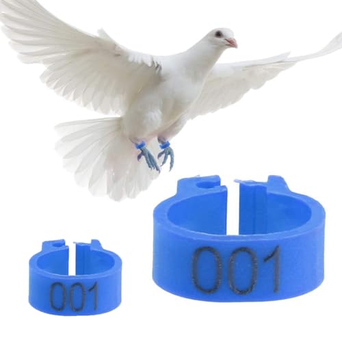 DUBTEDHOU Vogelbeine mit Ringen, Packung mit 100/150/200 Stück Vogelbeinbändern, Mehrfarbig, 8/10/12 mm(12mm100pc) von DUBTEDHOU
