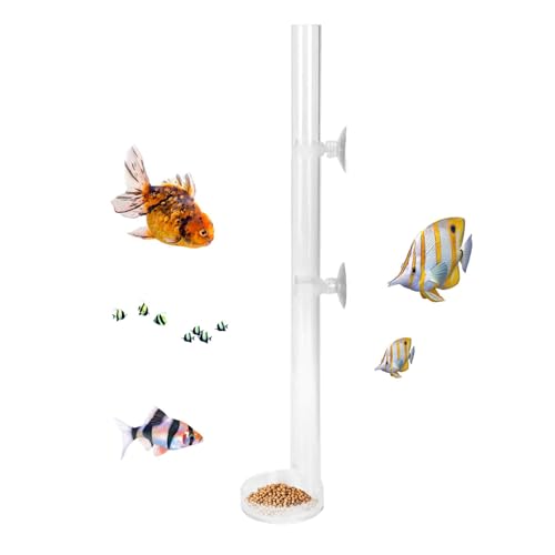 DUDOK Aquarium-Garnelen-Futternapf mit Saugnäpfen für Garnelen, Acryl-Aquariumschlauch, Aquarium-Zubehör für Garnelen, Fische, Reptilien, Spinnen DUDOK Aquarium-Garnelen-Futternapf mit Saugnäpfen für Garnelen, Acryl-Aquariumschlauch, Aquarium-Zubehör für Garnelen, Fische, Reptilien, Spinnen von DUDOK