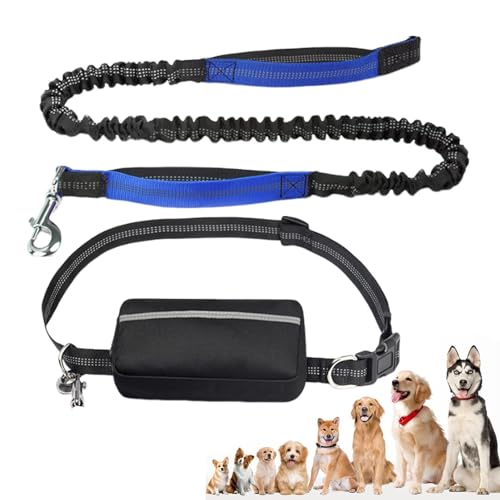 DUDOK Hundeleine, gepolsterte Griffe, Bungee-Hundeleine mit reflektierender Tasche, Hundetasche, Laufleine von DUDOK