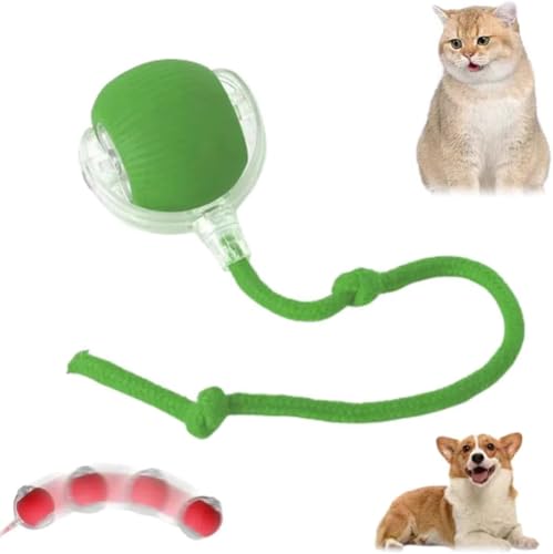DUDONGA Interaktiver rollender Katzenball – selbstrollender Haustierball – interaktives selbstbewegliches Katzenspielzeug, intelligentes automatisches Rollen, elektrische Bälle für Kätzchen/Welpen DUDONGA Interaktiver rollender Katzenball – selbstrollender Haustierball – interaktives selbstbewegliches Katzenspielzeug, intelligentes automatisches Rollen, elektrische Bälle für Kätzchen/Welpen von DUDONGA