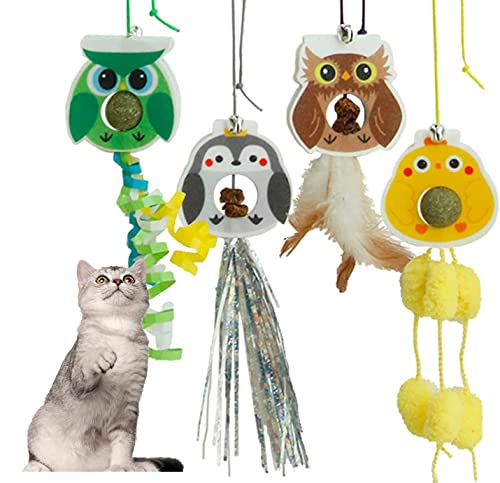 DUJIAOSHOU Katzenspielzeug, zum Selbstspielen, einziehbar, interaktives Katzenspielzeug für Indoor-Katzen, 4 Stück von DUJIAOSHOU