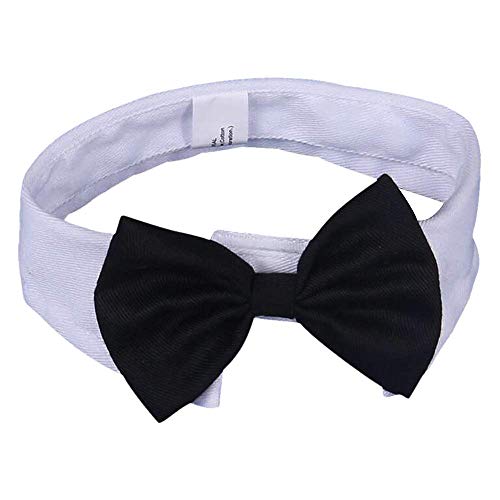 DULEE Fliege für Hunde Katze, Einstellbare Haustiere Fliege Hochzeit Fliege Formale Welpe Fliege Smoking Kragen Haustier Kostüm Krawatte Kragen Weiß, Größe M DULEE Fliege für Hunde Katze, Einstellbare Haustiere Fliege Hochzeit Fliege Formale Welpe Fliege Smoking Kragen Haustier Kostüm Krawatte Kragen Weiß, Größe M von DULEE