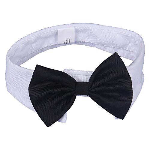 DULEE Fliege für Hunde Katze, Einstellbare Haustiere Fliege Hochzeit Fliege Formale Welpe Fliege Smoking Kragen Haustier Kostüm Krawatte Kragen Weiß, Größe S DULEE Fliege für Hunde Katze, Einstellbare Haustiere Fliege Hochzeit Fliege Formale Welpe Fliege Smoking Kragen Haustier Kostüm Krawatte Kragen Weiß, Größe S von DULEE