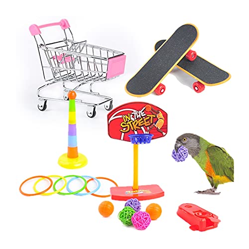 DUNSBY Vogelspielzeug 1 Satz des Trainings pet Vogel Spielzeug Set interaktives Papageiausrüstung Set lustige Vogelaktivität Papageispielzeug Haustier Vogel Basketball Skateboard Papageienspielzeug DUNSBY Vogelspielzeug 1 Satz des Trainings pet Vogel Spielzeug Set interaktives Papageiausrüstung Set lustige Vogelaktivität Papageispielzeug Haustier Vogel Basketball Skateboard Papageienspielzeug von DUNSBY