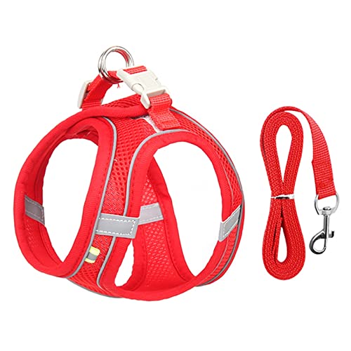 Hundegeschirr Hundegeschirr-Leine-Set for kleine Hunde, verstellbar, Welpen-Katzengeschirr, Weste, französische Bulldogge, Chihuahua, Mops, Outdoor-Laufleine (Color : Red, Size : M 5-7 kg) von DUNSBY