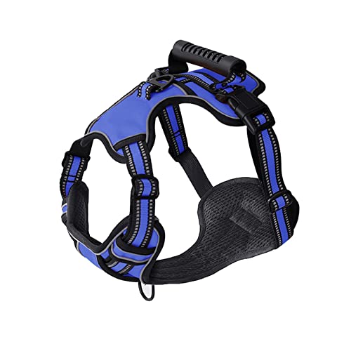 Hundegeschirr Hundegeschirr No Pull Atmungsaktive Reflektierende Haustiergeschirrweste for Kleine Große Hunde Outdoor Walking Training Hundezubehör (Color : Blue, Size : XS) von DUNSBY