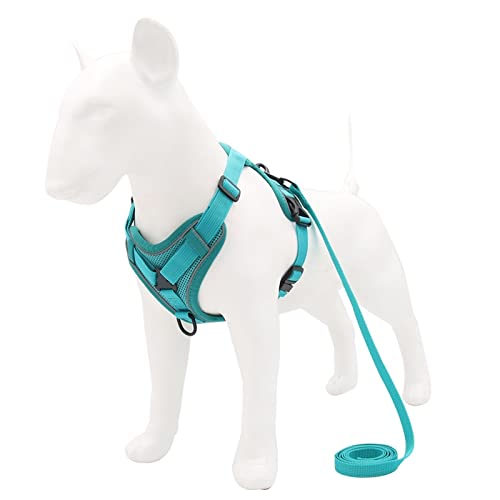 Hundegeschirr Hundegeschirr mit 1,5 m Traktionsleine, ohne Zug, Hundeweste, verstellbar, reflektierend, atmungsaktiv, for Hunde, Welpen und Katzen (Color : Green, Size : M) von DUNSBY