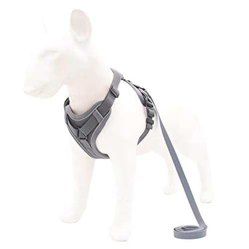 Hundegeschirr Hundegeschirr mit 1,5 m Traktionsleine, ohne Zug, Hundeweste, verstellbar, reflektierend, atmungsaktiv, for Hunde, Welpen und Katzen (Color : Grey, Size : M) von DUNSBY