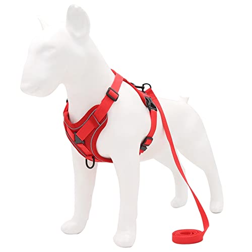 Hundegeschirr Hundegeschirr mit 1,5 m Traktionsleine, ohne Zug, Hundeweste, verstellbar, reflektierend, atmungsaktiv, for Hunde, Welpen und Katzen (Color : Red, Size : L) von DUNSBY