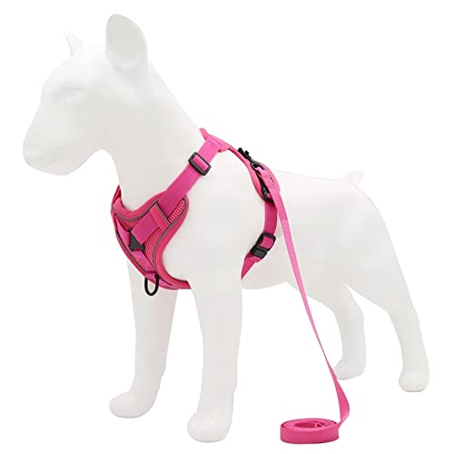 Hundegeschirr Hundegeschirr mit 1,5 m Traktionsleine, ohne Zug, Hundeweste, verstellbar, reflektierend, atmungsaktiv, for Hunde, Welpen und Katzen (Color : Rose Red, Size : M) von DUNSBY