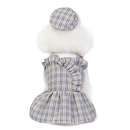 Hundekleidung Pet Supplies New Pet Clothes Thin Models Cute Pet Plaid Dress Small Medium Sized Pet Clothes for Small Dogs (Color : Gray, Size : L) von DUNSBY