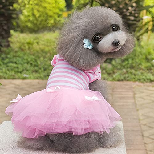 Hundekleidung Regenbogen-Hosenträgerrock Hundekleidung Kleid Super Hundekleidung Haustier-Outfits Niedlicher Sommer-Baumwolldruck (Color : Pink, Size : L) von DUNSBY