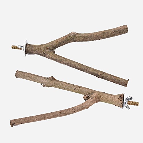Vogelspielzeug 2 stücke Haustier sittichet Budgie hängende spielspielwaren vogelkäfig holzzweig Stand beiläufig papageiholz resk Halter bottiche Papageienspielzeug Vogelspielzeug 2 stücke Haustier sittichet Budgie hängende spielspielwaren vogelkäfig holzzweig Stand beiläufig papageiholz resk Halter bottiche Papageienspielzeug von DUNSBY