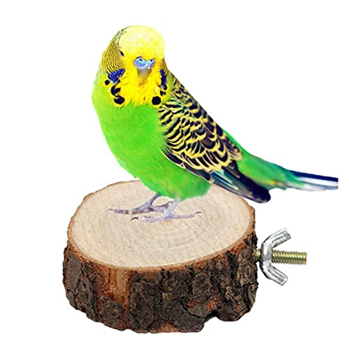 Vogelspielzeug 2 stücke Runde Holz Eichhörnchen Papagei Vogel Perch Stand Platform Haustier Vogel Hängendes Spielzeug Papageienspielzeug Vogelspielzeug 2 stücke Runde Holz Eichhörnchen Papagei Vogel Perch Stand Platform Haustier Vogel Hängendes Spielzeug Papageienspielzeug von DUNSBY