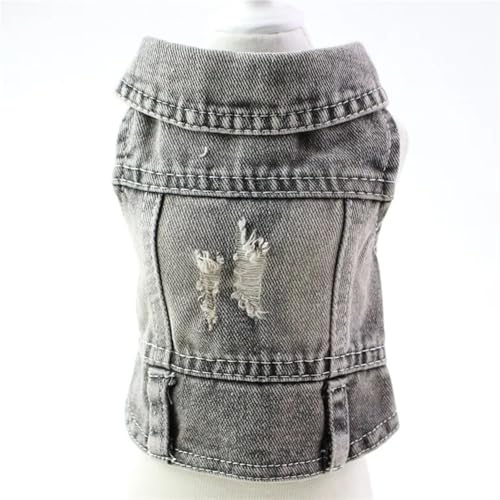 DUOCARA Jeansjacke für Hunde und Hunde, Denim-Mäntel, Loch-Design, für Katzen, Welpen, Frühling, Sommer, Bekleidung, 3 Farben DUOCARA Jeansjacke für Hunde und Hunde, Denim-Mäntel, Loch-Design, für Katzen, Welpen, Frühling, Sommer, Bekleidung, 3 Farben von DUOCARA