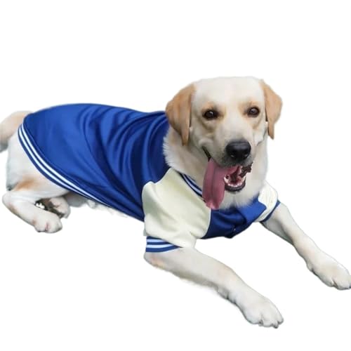 DUOCARA Sweatshirt für Baseball/Bulldogge, Labrador, S, französischer Mantel, klein, Winter, groß, Kleidung, Herbstkleidung, Hundejacken DUOCARA Sweatshirt für Baseball/Bulldogge, Labrador, S, französischer Mantel, klein, Winter, groß, Kleidung, Herbstkleidung, Hundejacken von DUOCARA