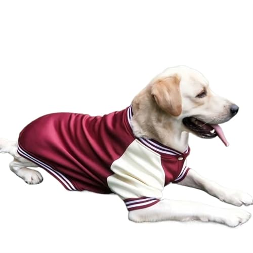 DUOCARA Sweatshirt für Baseball/Bulldogge, Labrador, S, französischer Mantel, klein, Winter, groß, Kleidung, Herbstkleidung, Hundejacken DUOCARA Sweatshirt für Baseball/Bulldogge, Labrador, S, französischer Mantel, klein, Winter, groß, Kleidung, Herbstkleidung, Hundejacken von DUOCARA