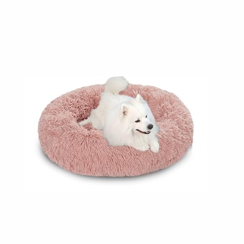 Beruhigendes Anti-Angst-Hundebett in Donut-Form, groß, flauschiges Plüsch-Hundebett mit rutschfester Unterseite, waschbare Haustiermatte, Matratze für den Innenbereich, Haustier-Schlafnest (60 x 60 x Beruhigendes Anti-Angst-Hundebett in Donut-Form, groß, flauschiges Plüsch-Hundebett mit rutschfester Unterseite, waschbare Haustiermatte, Matratze für den Innenbereich, Haustier-Schlafnest (60 x 60 x von DUOLEH