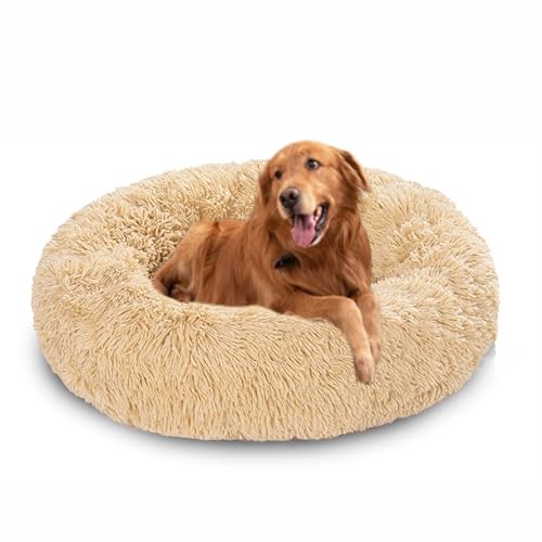 Donut-Betten für Hunde, beruhigendes Hundebett, rundes Plüschkissen mit rutschfester Unterseite, waschbare Haustiermatratze, warmes Kätzchennest (60 x 60 x 20 cm, Beige) von DUOLEH