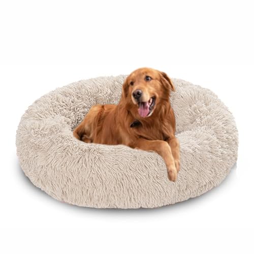 Donut-Betten für Hunde, beruhigendes Hundebett, rundes Plüschkissen mit rutschfester Unterseite, waschbare Haustiermatratze, warmes Kätzchennest (60 x 60 x 20 cm, gebrochenes Weiß) von DUOLEH