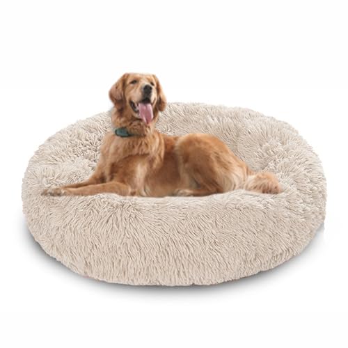Donut-Hundebett, groß, rund, beruhigendes Hundebett gegen Angst, mit rutschfester Unterseite, waschbare Haustiermatratze, wärmendes Donut-Kuschelkissen, waschbar, 90 x 90 x 20 cm, gebrochenes Weiß Donut-Hundebett, groß, rund, beruhigendes Hundebett gegen Angst, mit rutschfester Unterseite, waschbare Haustiermatratze, wärmendes Donut-Kuschelkissen, waschbar, 90 x 90 x 20 cm, gebrochenes Weiß von DUOLEH