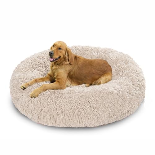 Donut-Hundebetten mit rutschfester Unterseite, beruhigendes, flauschiges Hundebett, waschbar, wärmendes Haustierkissen, mittelgroß, 150 x 150 x 20 cm, gebrochenes Weiß Donut-Hundebetten mit rutschfester Unterseite, beruhigendes, flauschiges Hundebett, waschbar, wärmendes Haustierkissen, mittelgroß, 150 x 150 x 20 cm, gebrochenes Weiß von DUOLEH