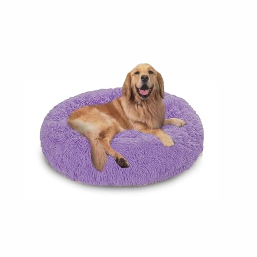 Extra großes Donut-Hundebett, orthopädisches Hundebett, zur Linderung von Angstzuständen, waschbar, für großen Labrador, Deutscher Schäferhund, 120 x 120 x 20 cm, Violett Extra großes Donut-Hundebett, orthopädisches Hundebett, zur Linderung von Angstzuständen, waschbar, für großen Labrador, Deutscher Schäferhund, 120 x 120 x 20 cm, Violett von DUOLEH