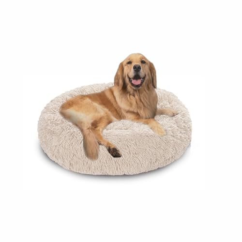 Extra großes Donut-Hundebett, orthopädisches Hundebett, zur Linderung von Angstzuständen, waschbar, für großen Labrador, Deutscher Schäferhund, 150 x 150 x 20 cm, gebrochenes Weiß Extra großes Donut-Hundebett, orthopädisches Hundebett, zur Linderung von Angstzuständen, waschbar, für großen Labrador, Deutscher Schäferhund, 150 x 150 x 20 cm, gebrochenes Weiß von DUOLEH