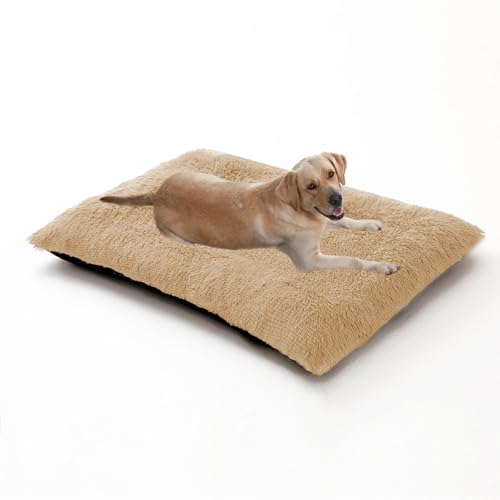 Große orthopädische Hundebetten, Matratzenmatte für Hundekäfig, rutschfeste Haustiermatte, flauschig, Anti-Angst-Welpenbetten, rechteckig, waschbar, 122 x 85 x 12 cm, Beige Große orthopädische Hundebetten, Matratzenmatte für Hundekäfig, rutschfeste Haustiermatte, flauschig, Anti-Angst-Welpenbetten, rechteckig, waschbar, 122 x 85 x 12 cm, Beige von DUOLEH